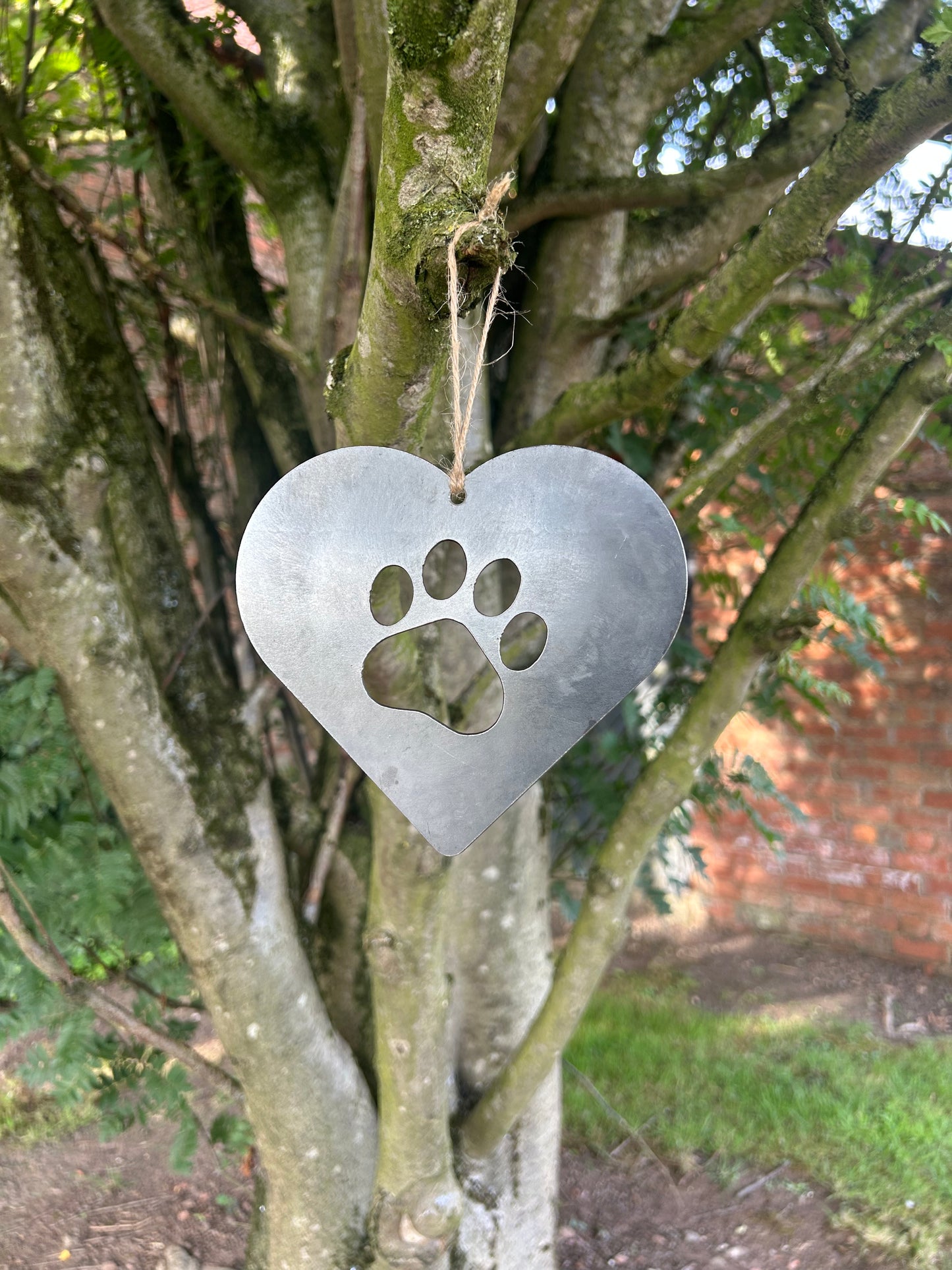 Steel Love Heart with Paw Print Cut Out hanging in a tree by a piece of string.
