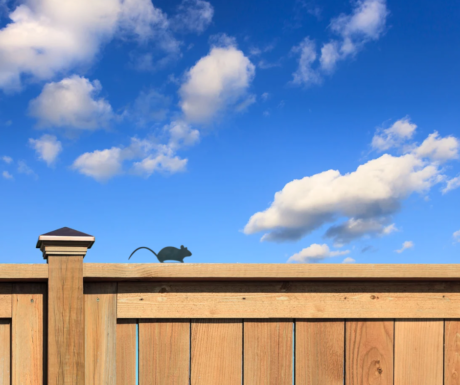 Wooden fence with a decorative mouse on top against a blue sky with clouds