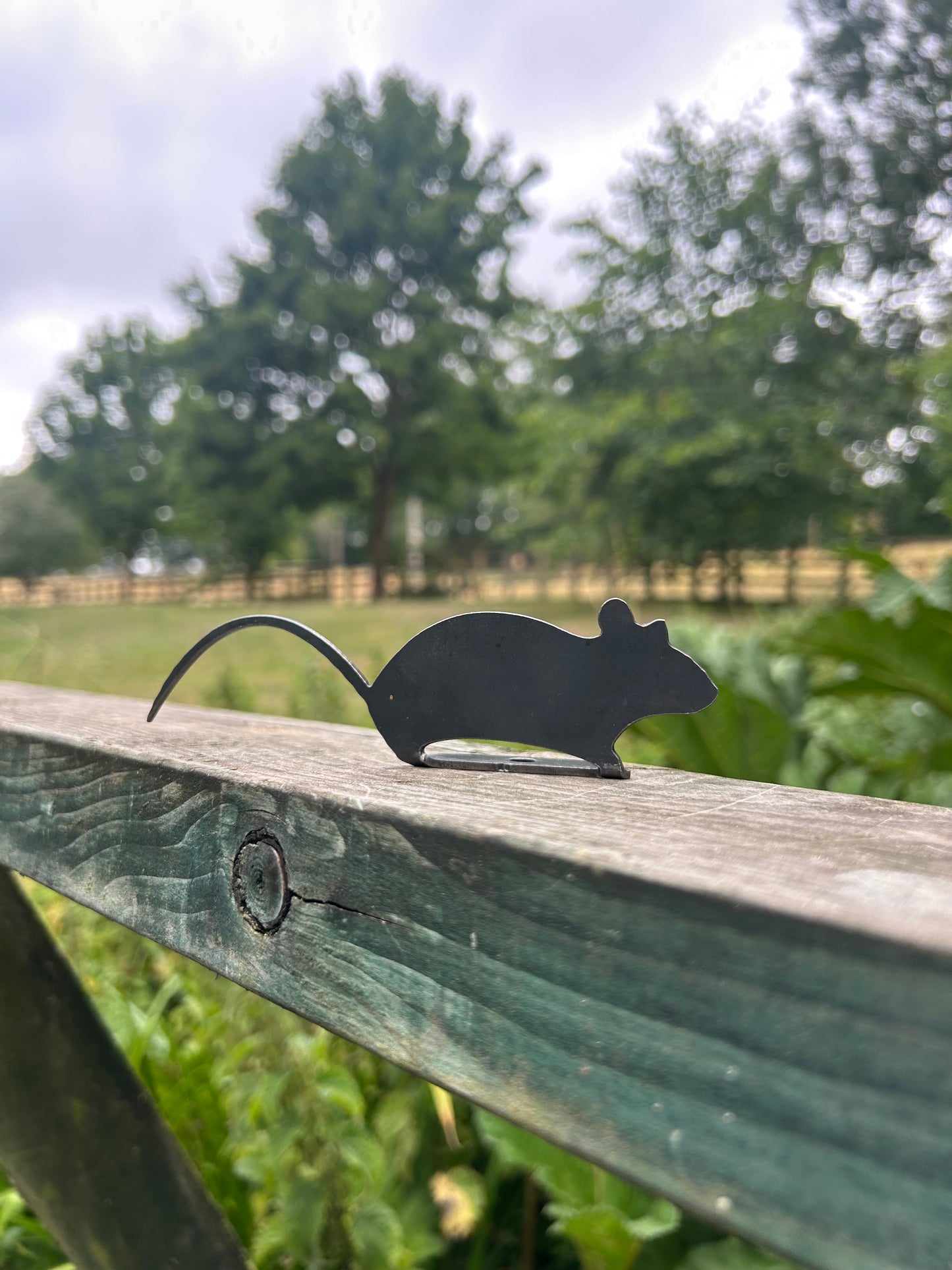Black mouse silhouette on a wooden railing with a green field and trees in the background