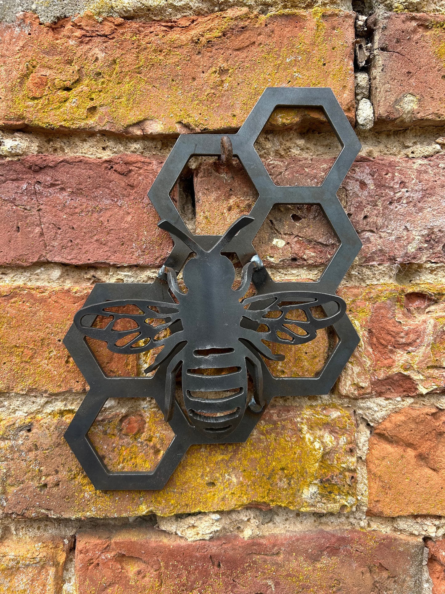 Large Bee and Honeycomb Set 4mm Save The Bees Rusty Wall Art Rusty Garden Ornament Entomology Rusty Bee Mothers Day