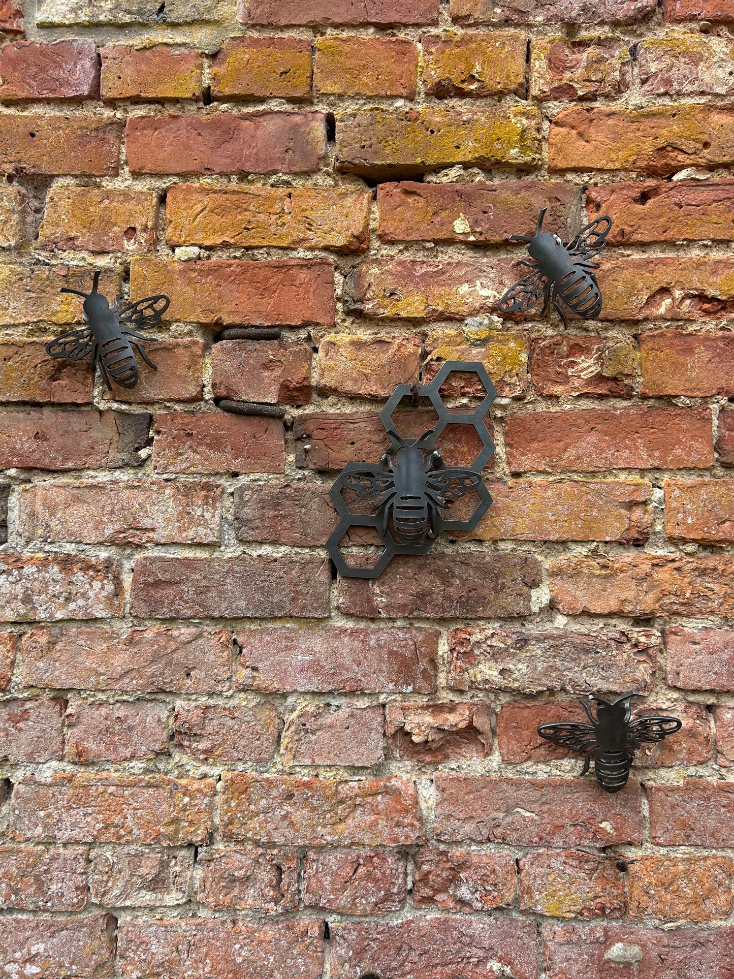 Large Bee and Honeycomb Set 4mm Save The Bees Rusty Wall Art Rusty Garden Ornament Entomology Rusty Bee Mothers Day