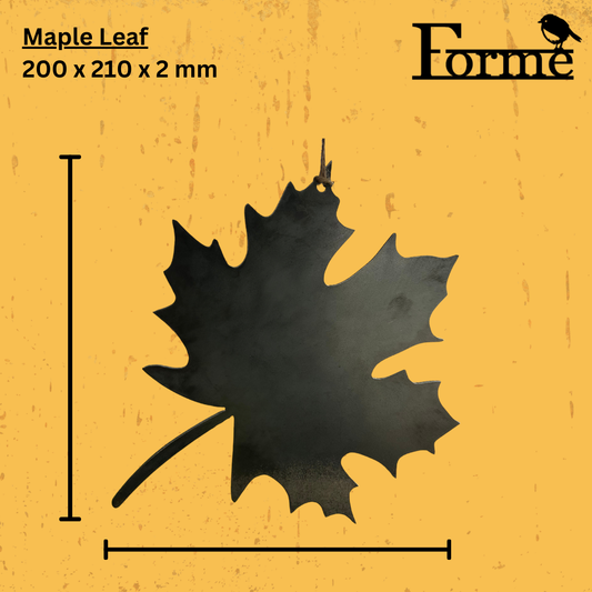 Black maple leaf-shaped object on a yellow background with 'Forme' branding and dimensions