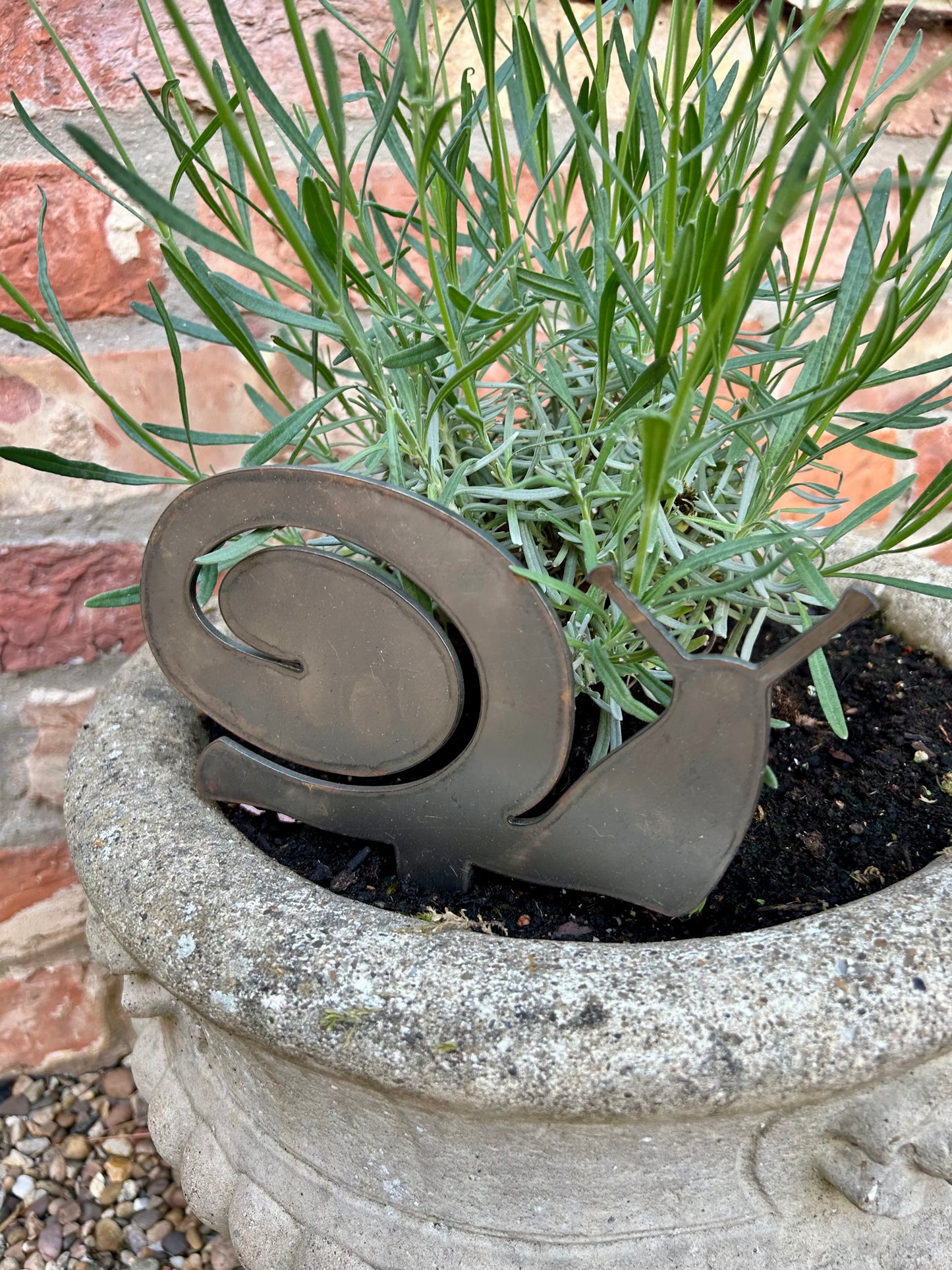 Sid The Snail . Steel Garden Art . Garden Decoration . Rusty Ornament