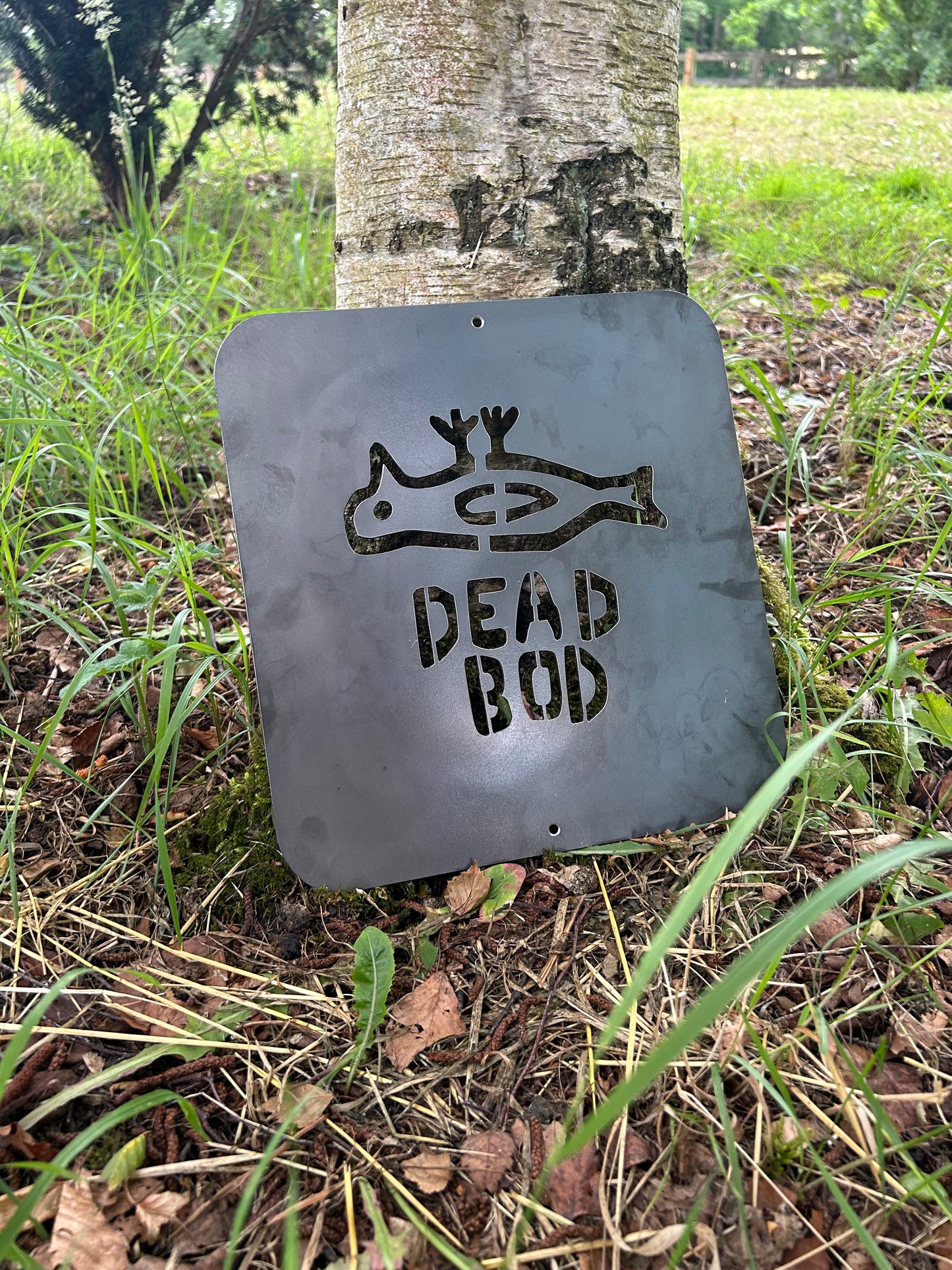 Hull 'Dead Bod' Steel Wall Art Tribute / Hull City / Iconic / Yorkshire Day Gift