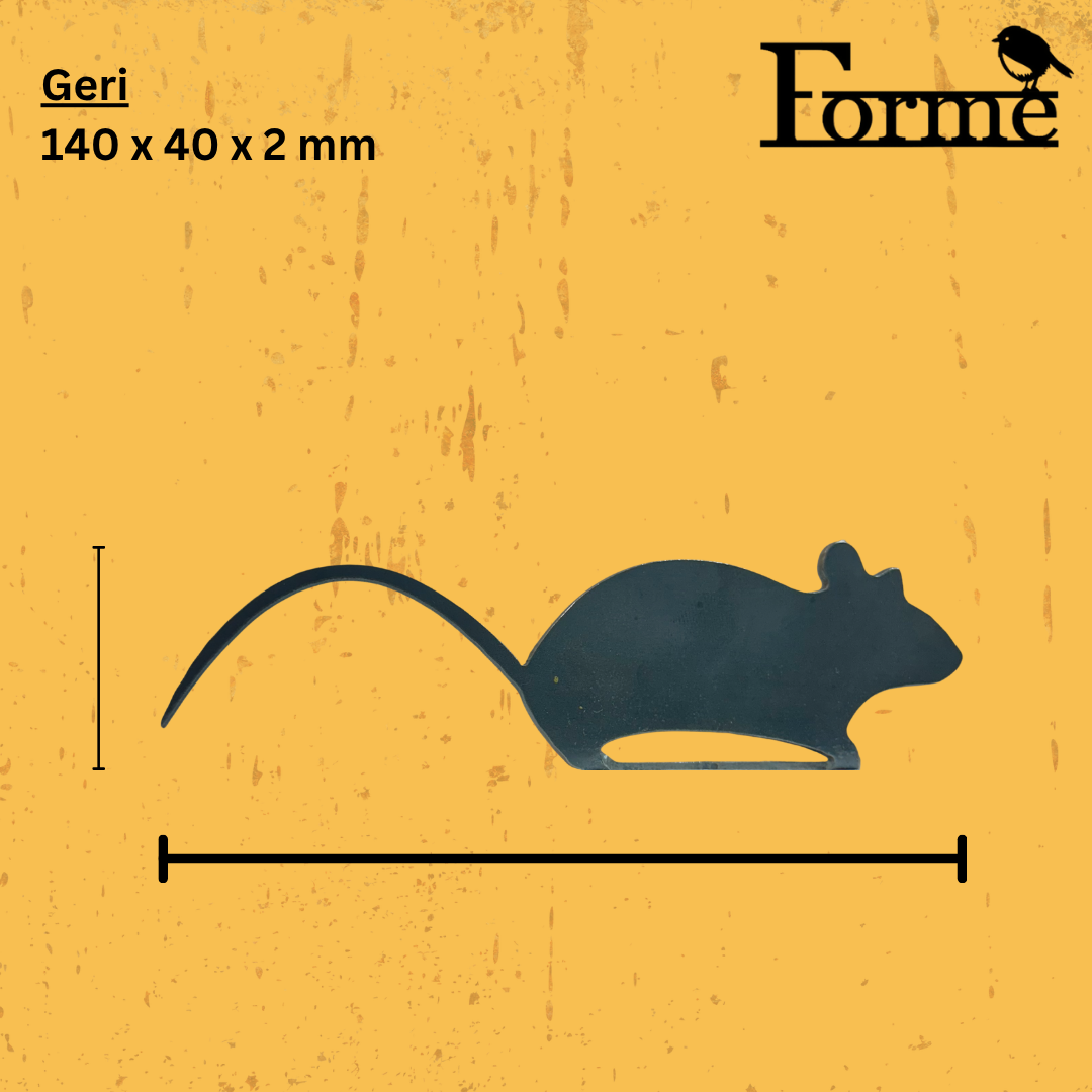 Black silhouette of a mouse with measurements on a yellow background, featuring the brand 'Forme'.