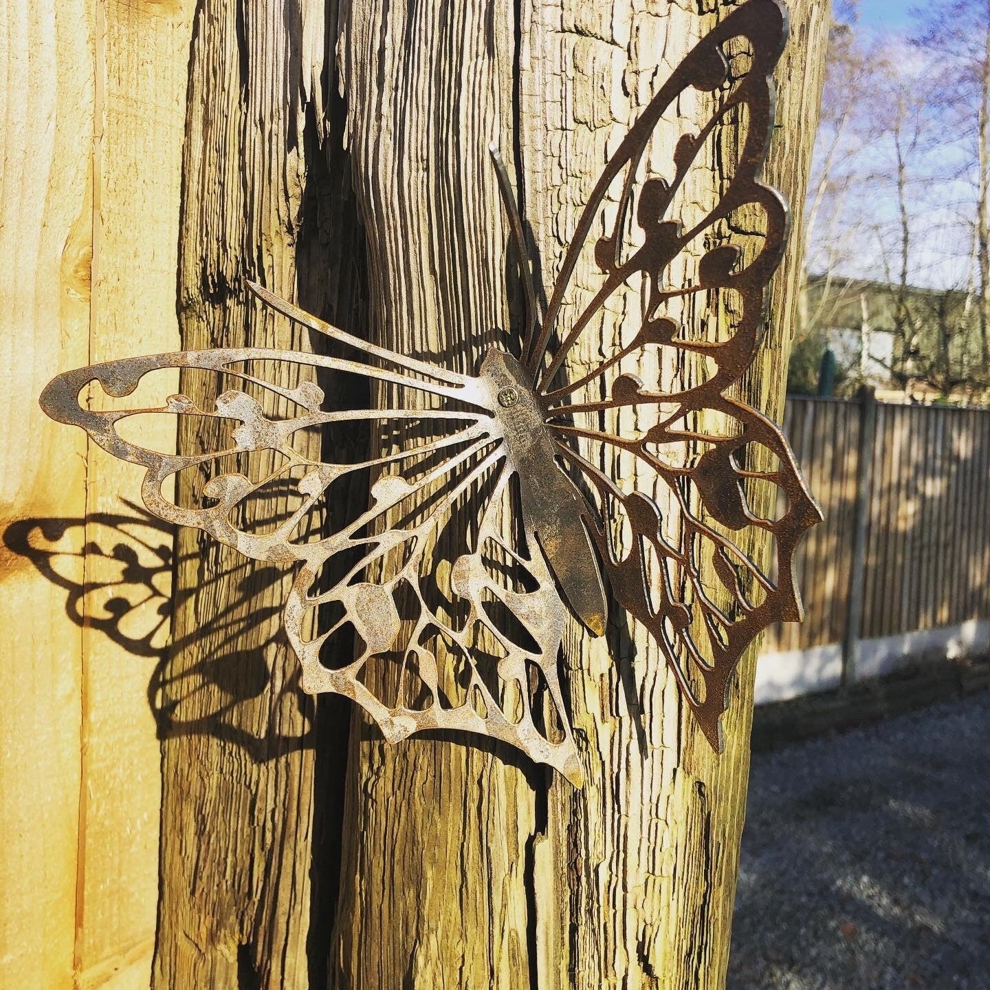 Betty Butterfly - Steel Butterfly Wall Art Rusty Garden Ornament Entomology Mothers Day