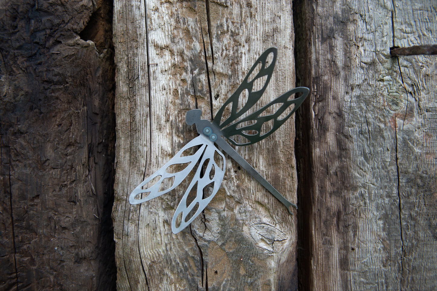 Derek The Dragonfly - 2 Sizes Available Gift Set Wall Mounted Garden Ornament Rusty Art Fence Art Entomology Mothers Day
