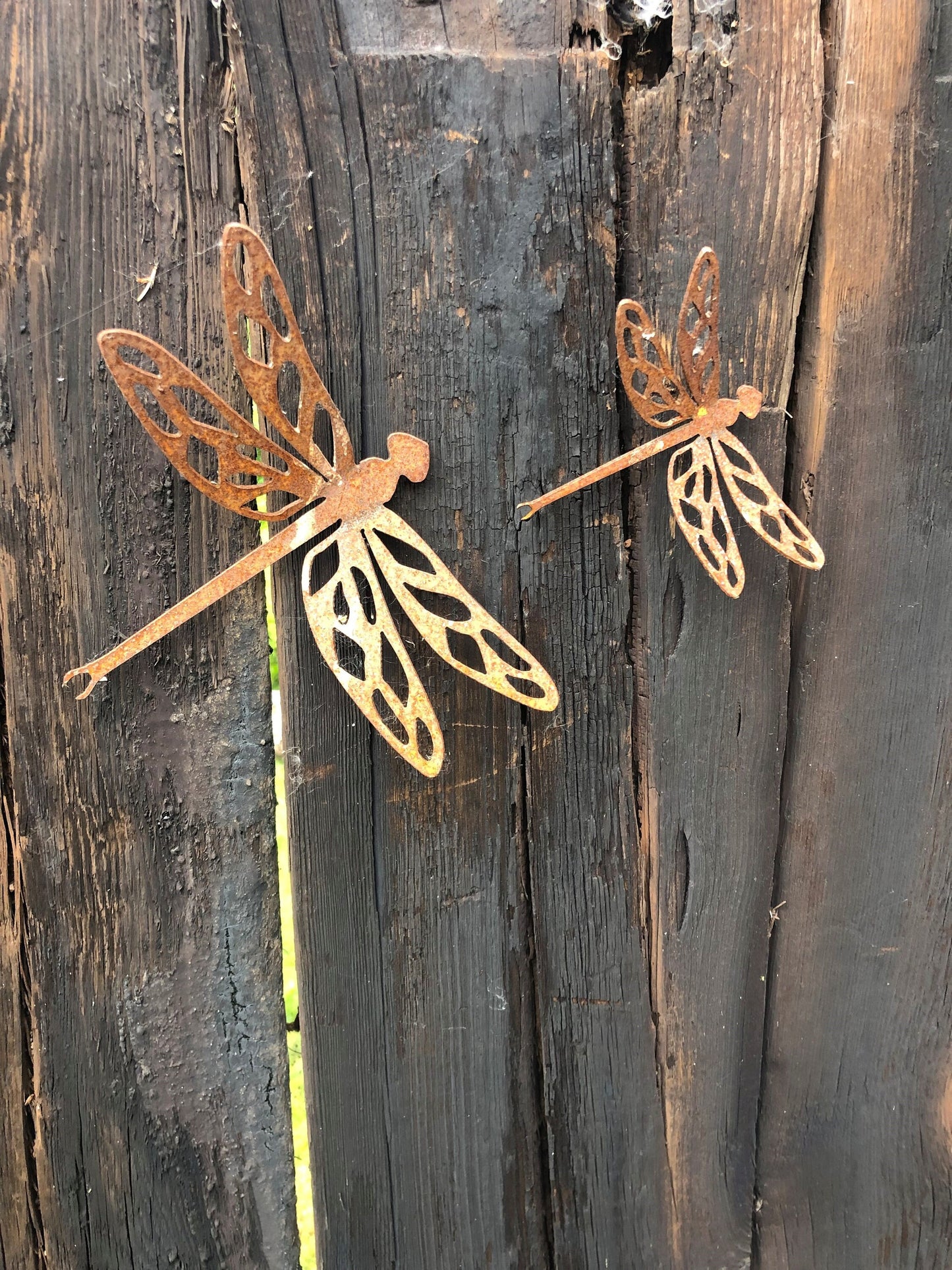 Derek The Dragonfly - 2 Sizes Available Gift Set Wall Mounted Garden Ornament Rusty Art Fence Art Entomology Mothers Day