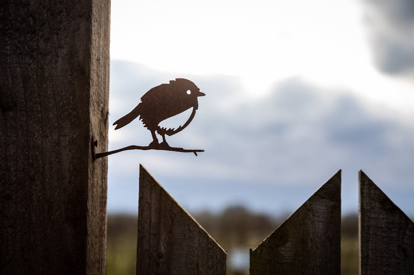 Geoff The Robin. Metal Bird for Home and Garden.