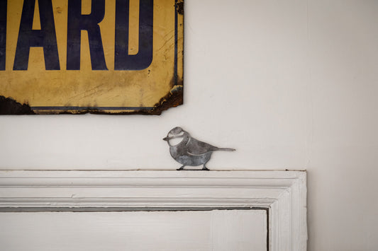 steel blue tit mounted to the top of a door frame