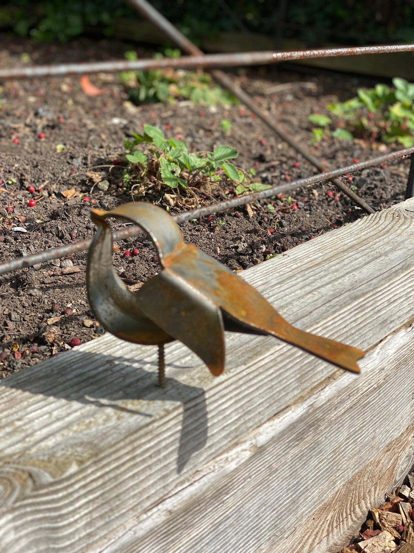 3D Steel Robin. Fence Topper. Rusty Garden Art