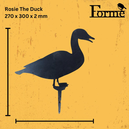 Duck dimensions on yellow background