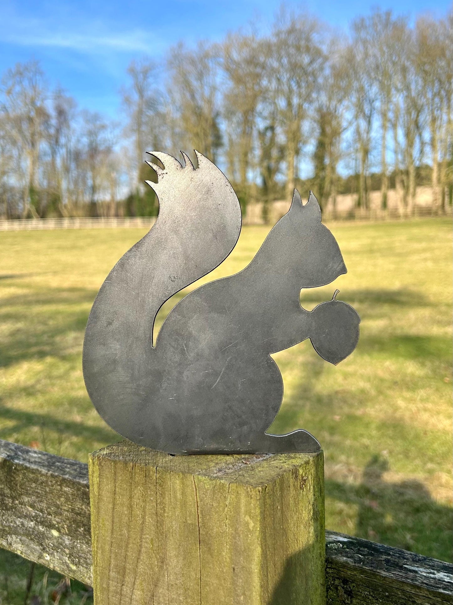 Gus The Squirrel - Fence Topper - Steel Garden Ornament Rusty Art Metal Wildlife