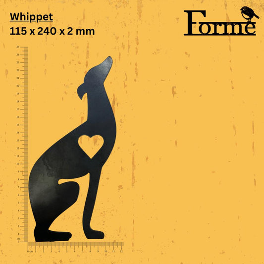Whippet dimensions on yellow background