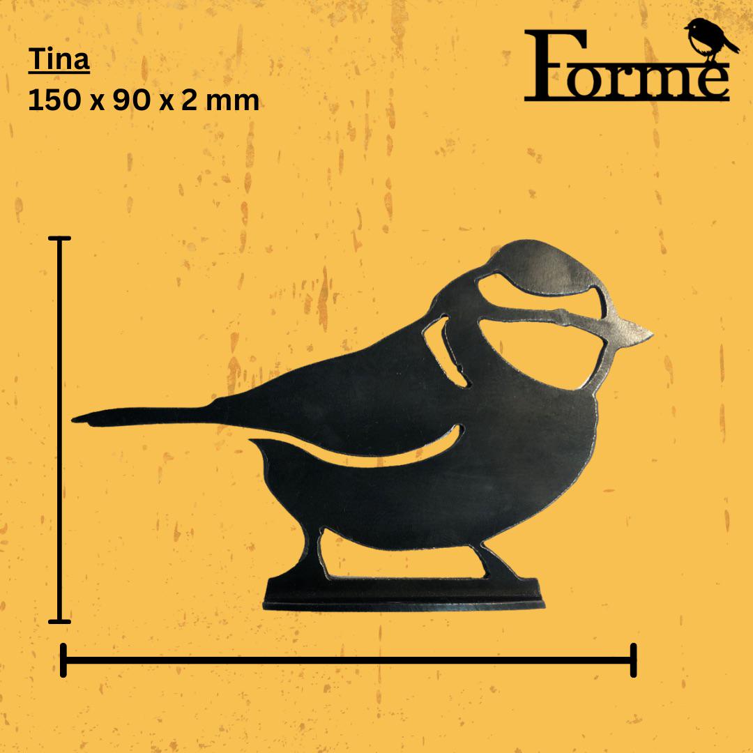 Blue Tit dimensions on yellow background
