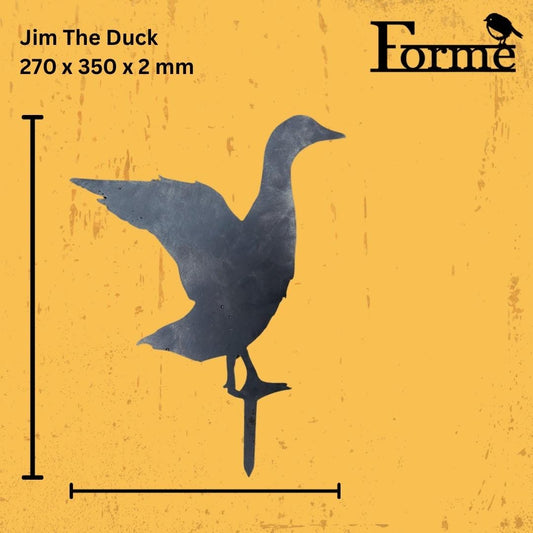 Duck dimensions on yellow background