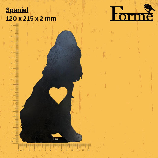 Spaniel dimensions on yellow background