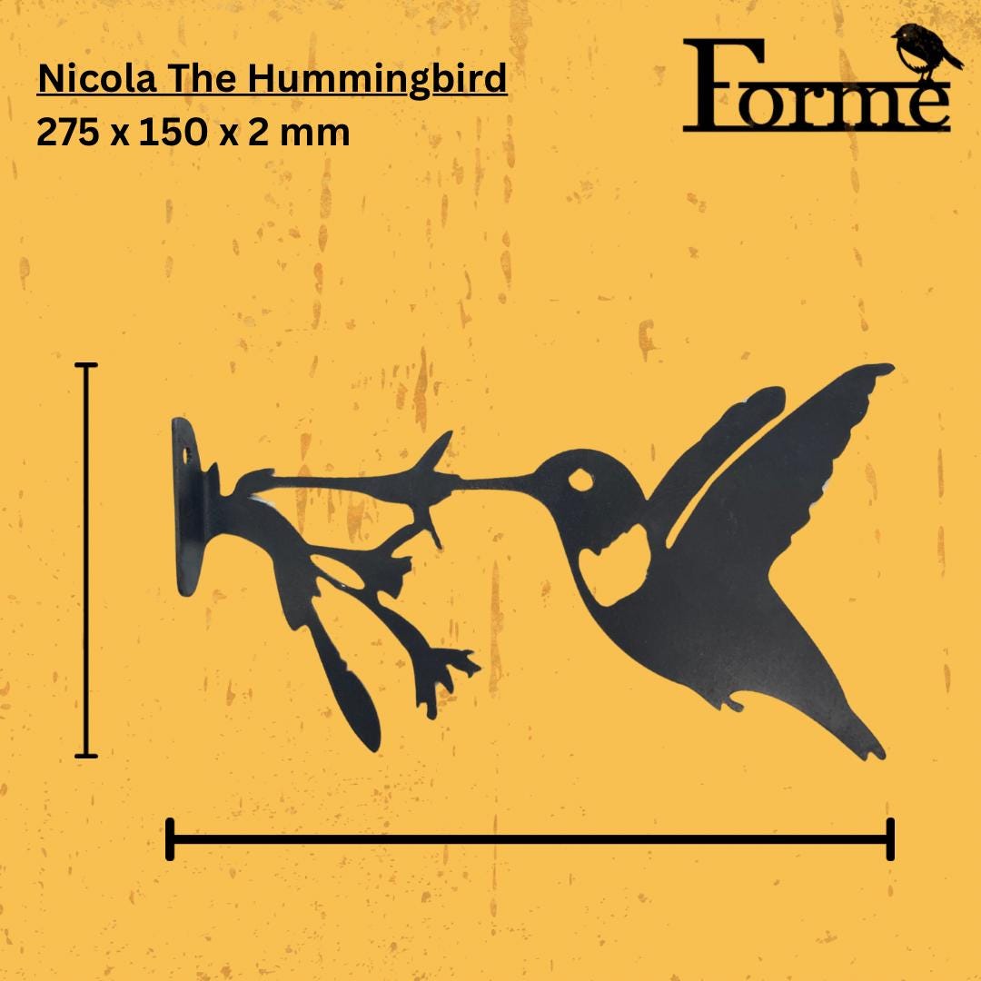 Hummingbird dimensions on yellow background