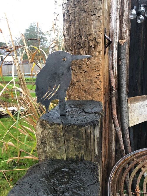 Ken and Barbara The Kingfishers