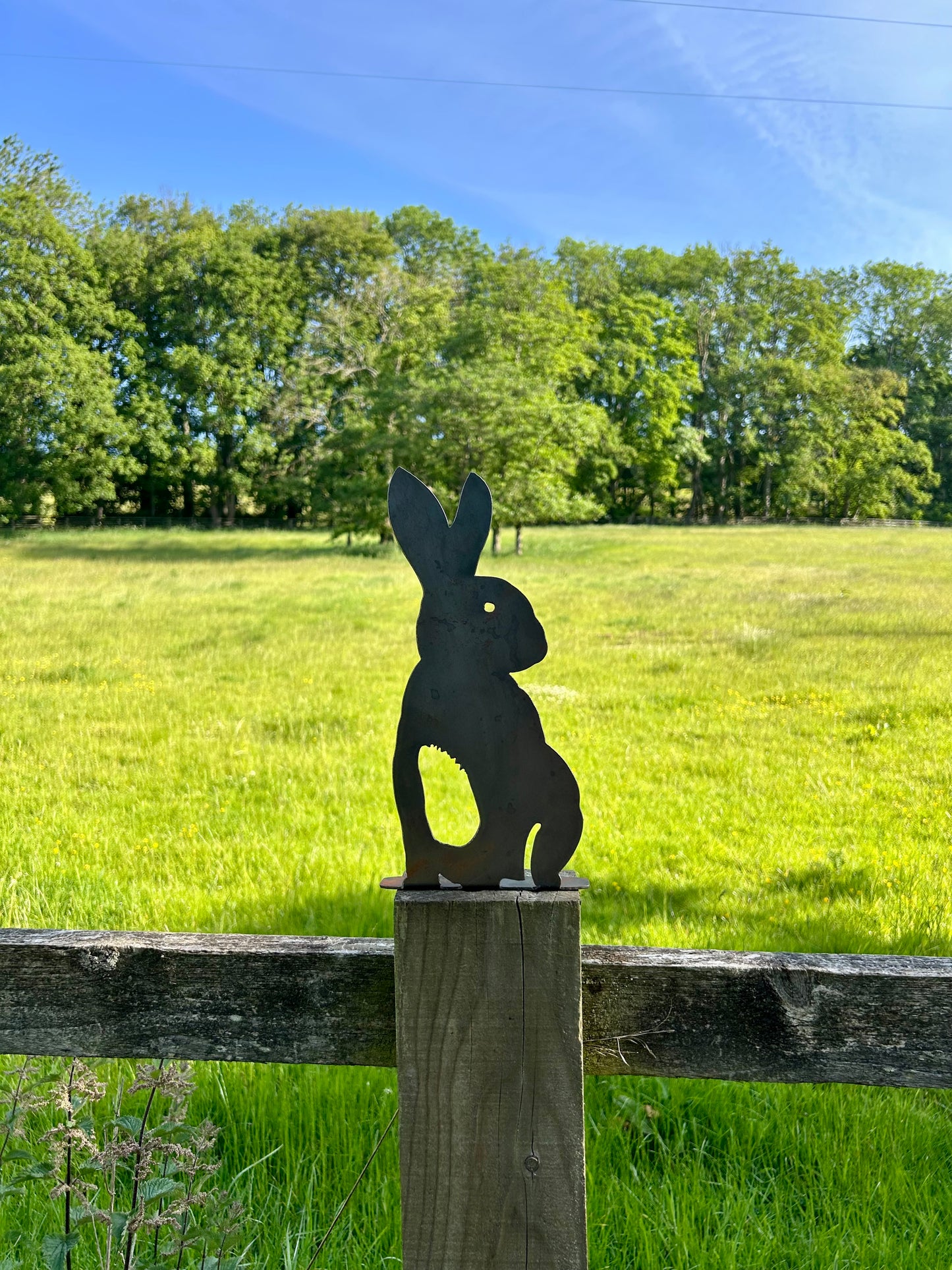 Bunny Rabbit . Steel Garden Art . Garden Decoration . Rusty Ornament