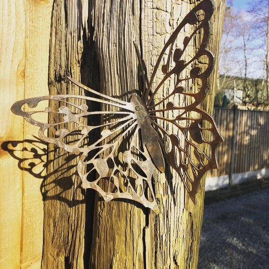 Betty Butterfly - Steel Butterfly Wall Art   Rusty Garden Ornament  Entomology  Mothers Day