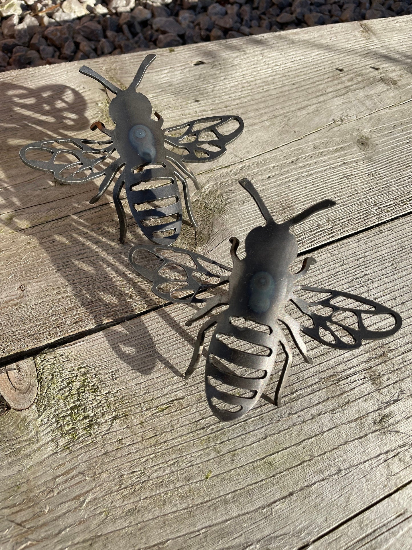 What's The Buzz Gift Set . Save The Bees  Rusty Wall Art  Rusty Garden Ornament  Entomology  Rusty Bee  Mothers Day
