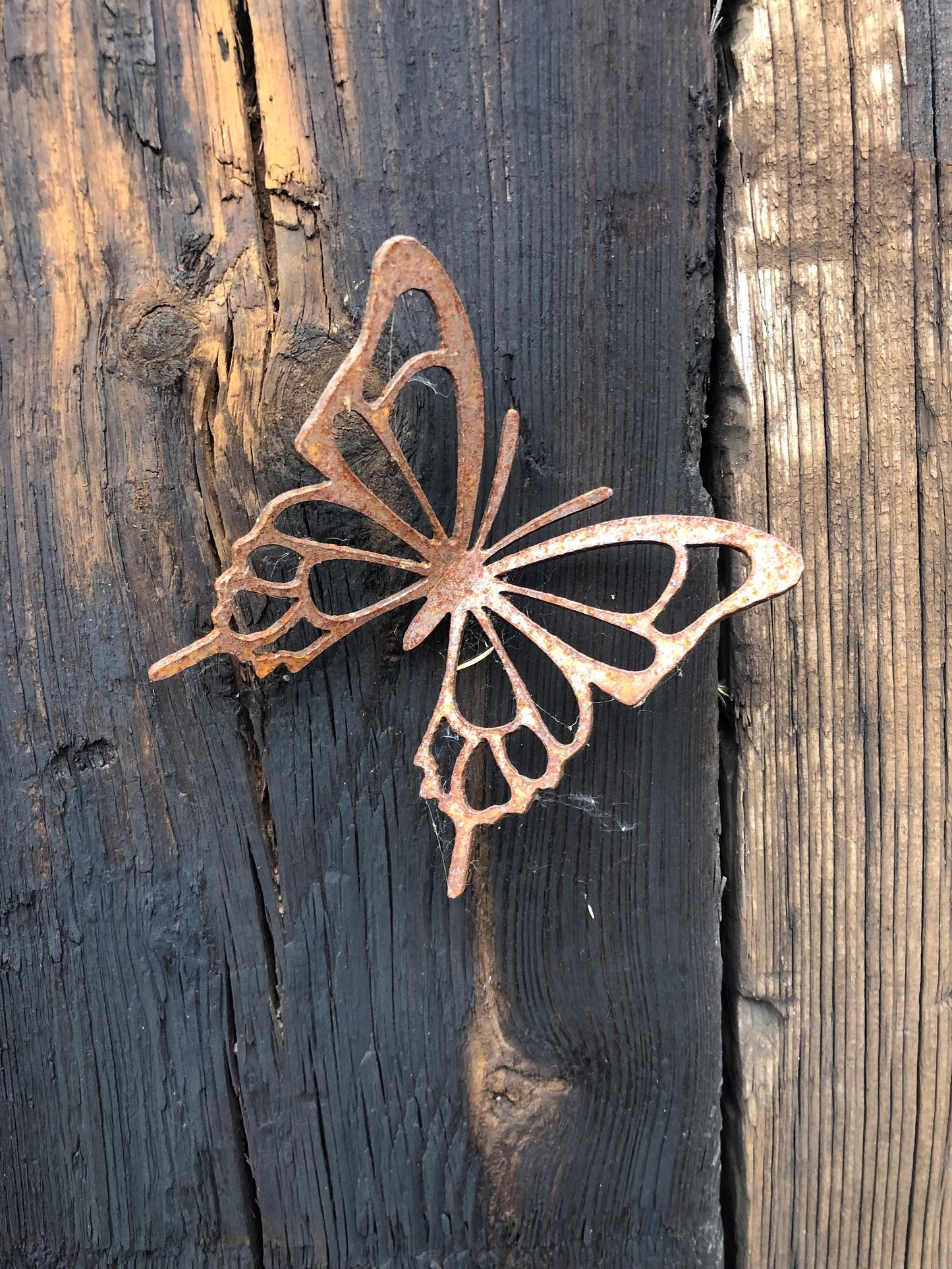 Polly The Butterfly - Small Wall Mounted Butterfly  Garden Ornament  Entomology  Rusty Butterfly  Mothers Day