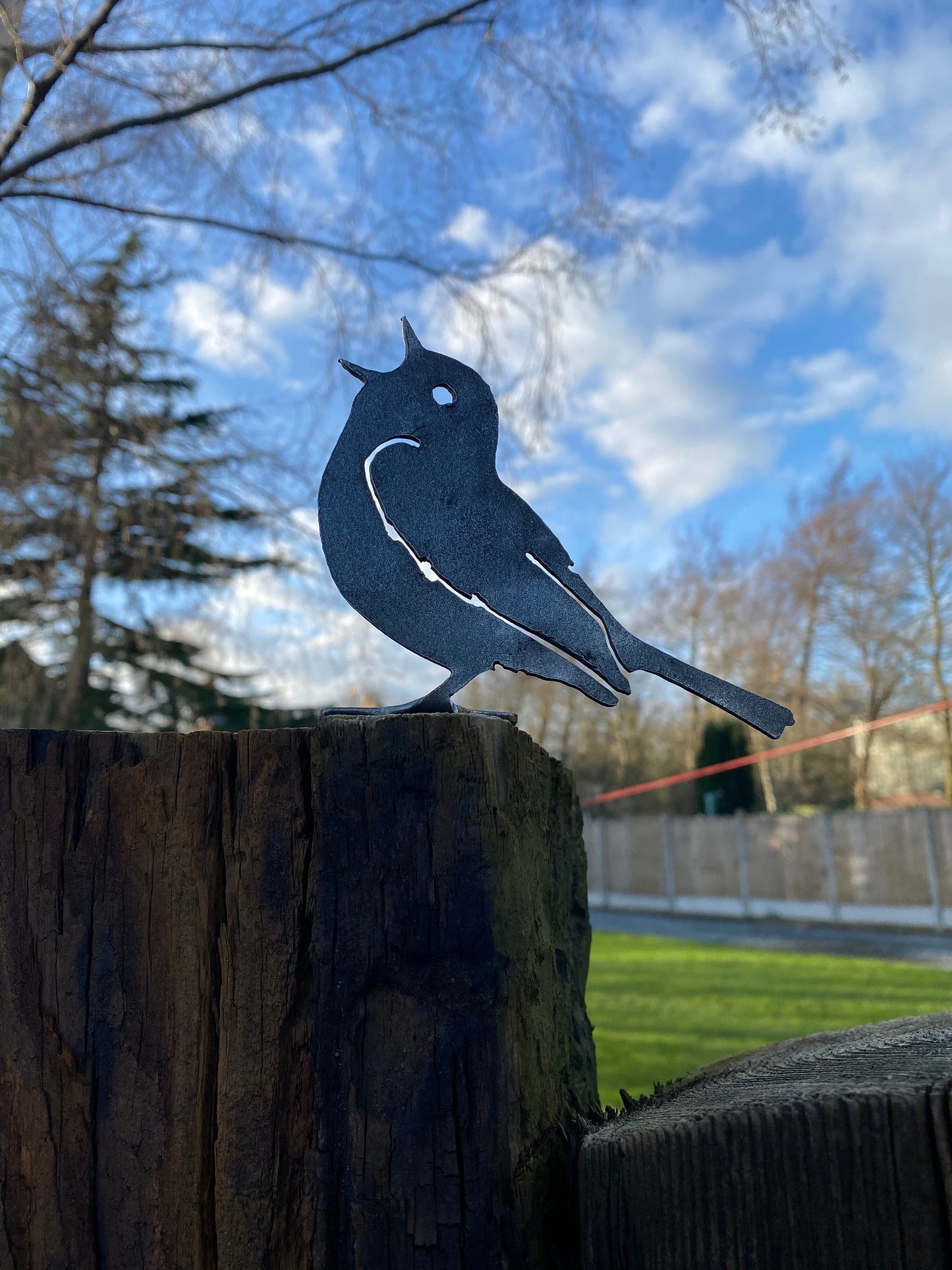 Set Of Two Metal Birds - Jenny The Wren And Paul The Song Thrush - Metal Bird  Wall Art  Rusty Garden Ornament