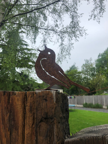 Paul The Song Thrush - Metal Bird  Wall Art  Rusty Garden Ornament