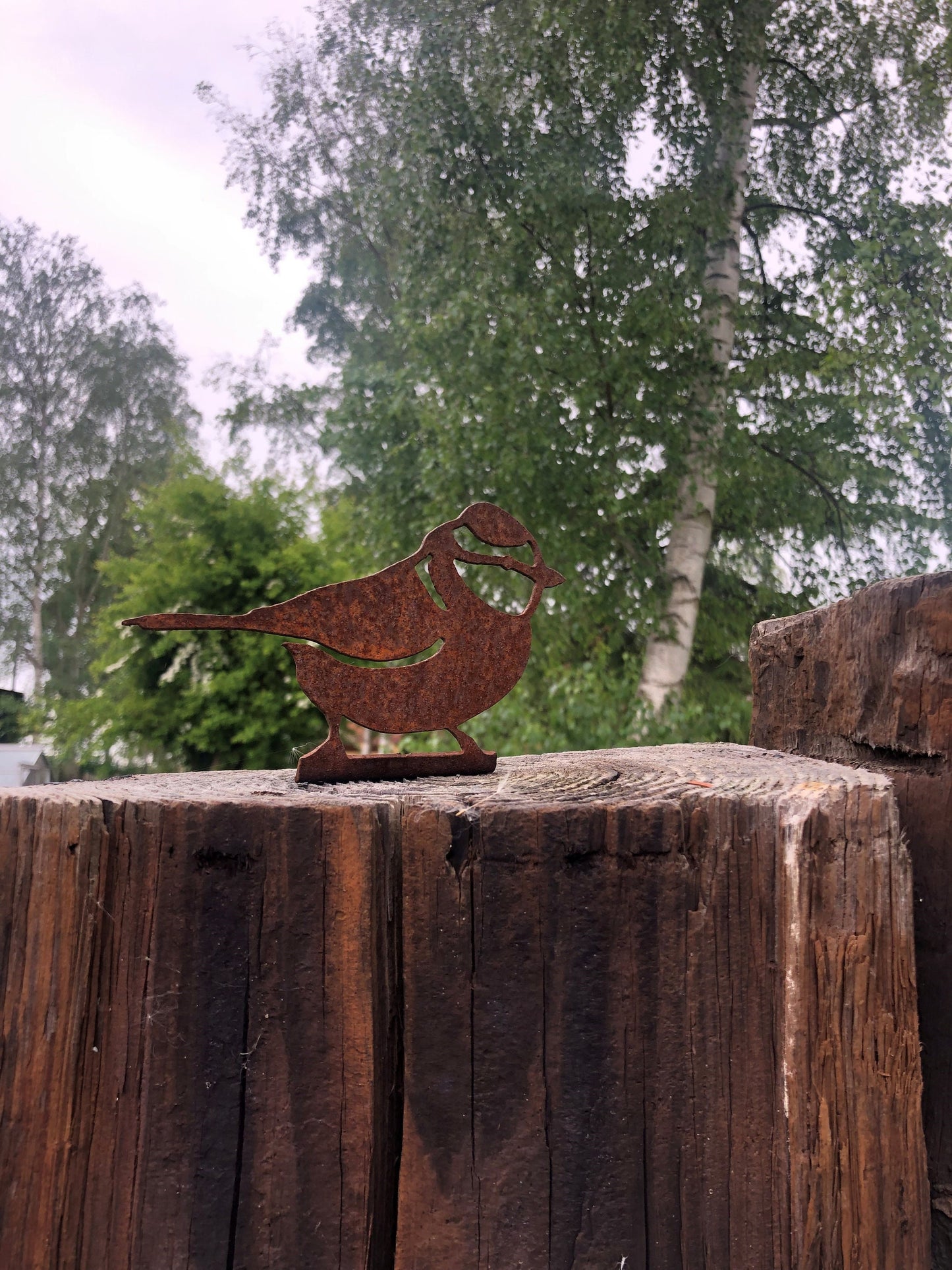 Tina The Blue Tit - Fence Topper  Garden Ornament  Rusty Art  Metal Birds