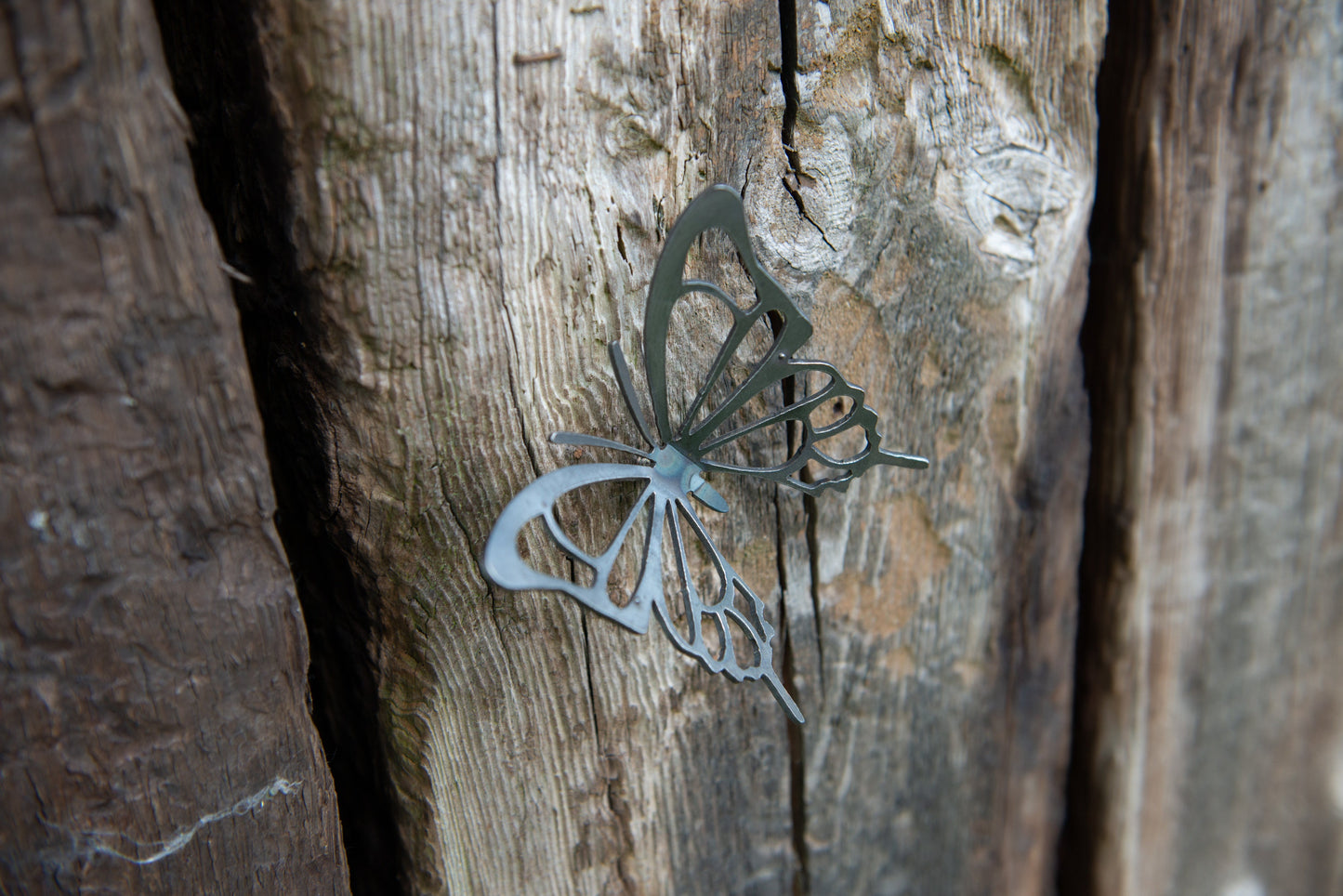 Polly The Butterfly - Small Wall Mounted Butterfly  Garden Ornament  Entomology  Rusty Butterfly  Mothers Day