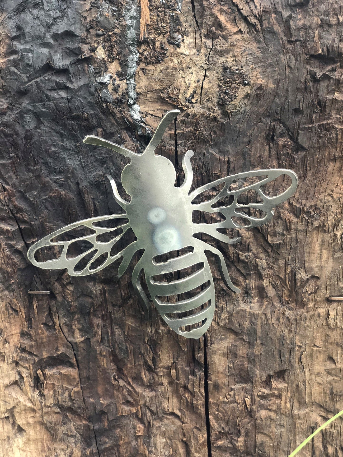 A Bugs Life Gift Set . Perfect Present . Garden Gift . Entomology . Butterfly . Bee . Dragonfly . Steel . Mothers Day