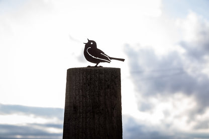 Paul The Song Thrush - Metal Bird  Wall Art  Rusty Garden Ornament