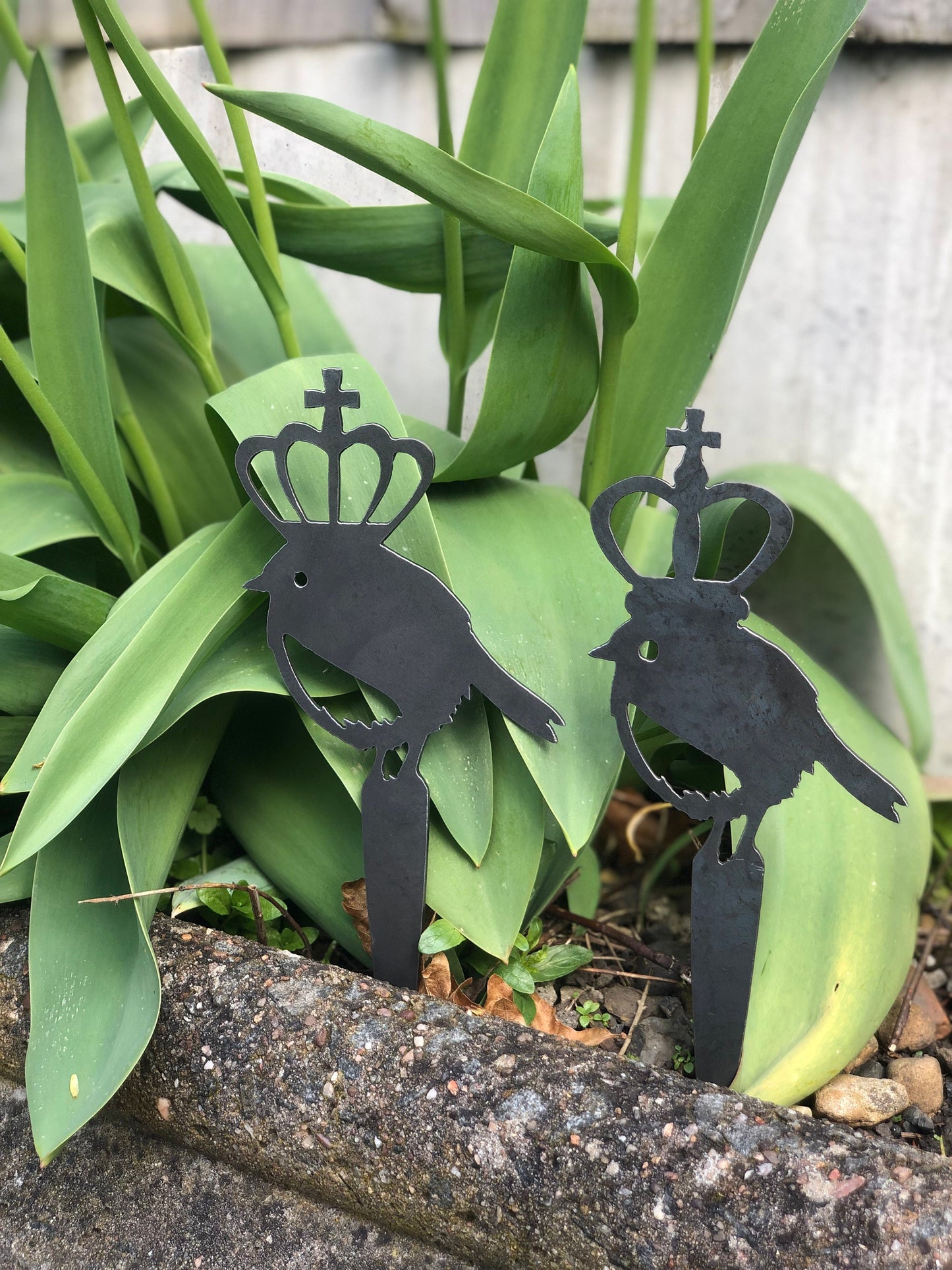 Liz and Charlie the Royal Robins. Pot Spike or Fence Topper. Gift Set. Coronation . Jubilee . Royalty . King . Queen