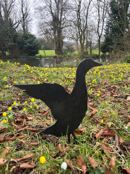 Jim The Duck . Steel Garden Art . Garden Decoration . Rusty Ornament