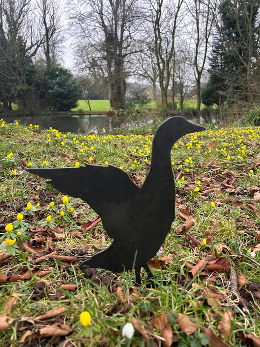 Jim The Duck . Steel Garden Art . Garden Decoration . Rusty Ornament