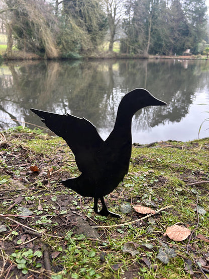 Jim The Duck . Steel Garden Art . Garden Decoration . Rusty Ornament