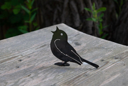 Paul The Song Thrush - Metal Bird  Wall Art  Rusty Garden Ornament