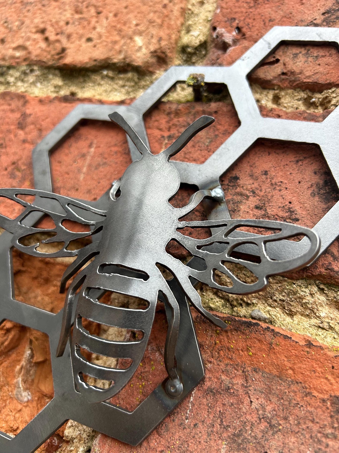 Honey The Bee - Steel Wall Art  Rusty Metal Bee  Save The Bees   Gift Set  Mothers Day
