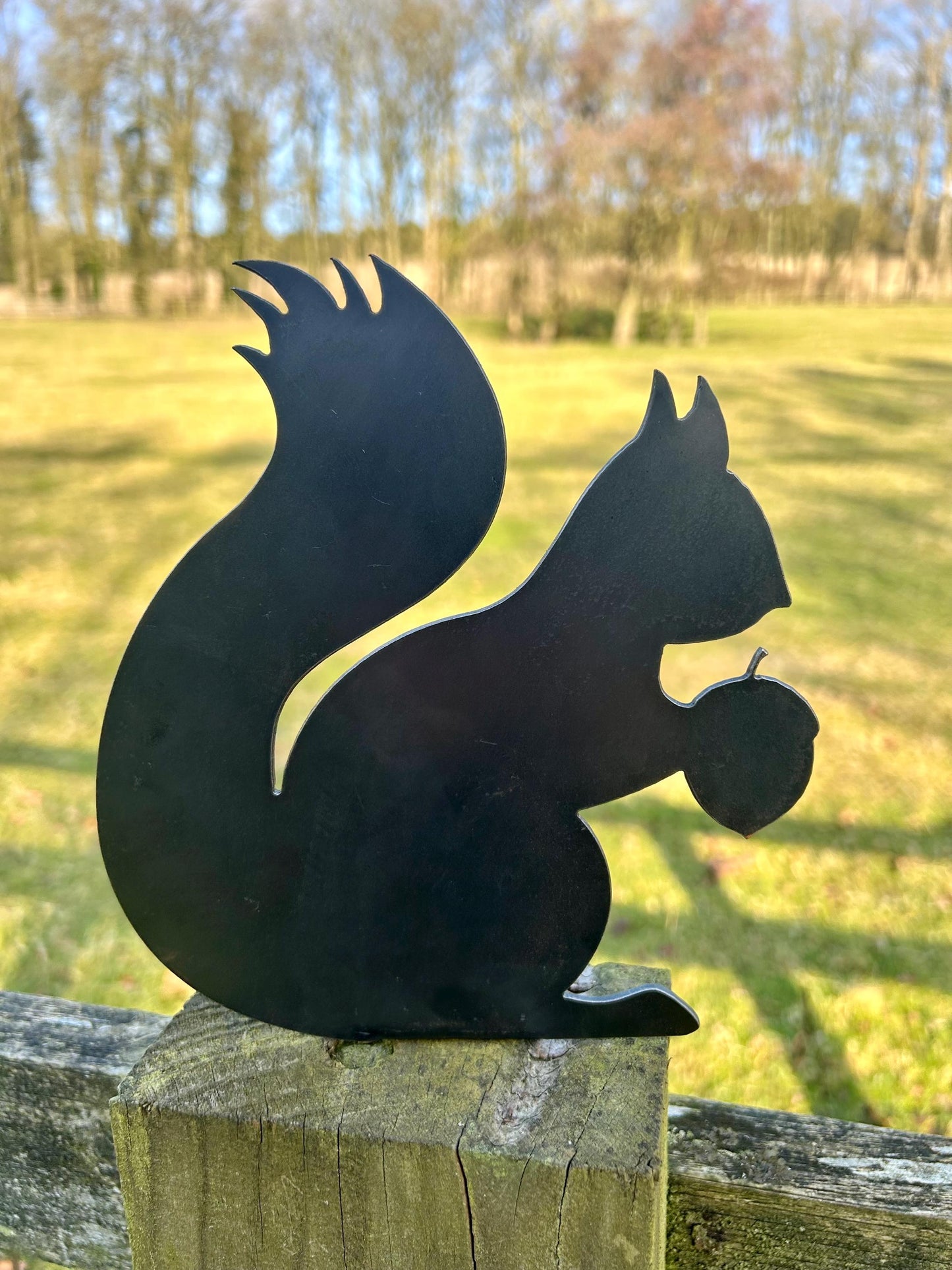 Gus The Squirrel - Fence Topper - Steel Garden Ornament  Rusty Art  Metal Wildlife