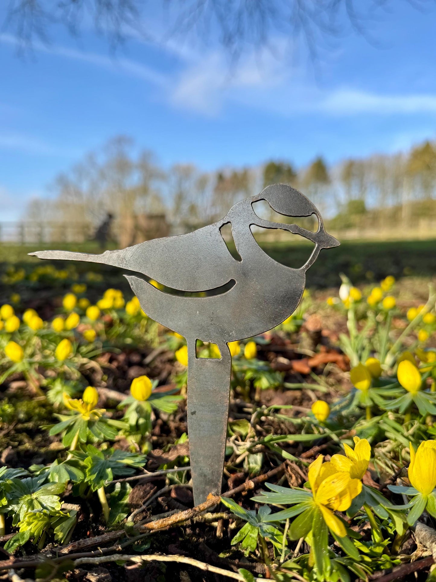 Steel Bird Pot Spikes. 3 Designs. Bulb Markers . Robin . Bluetit . Wren . Garden Decor . Rusty Metal Birds