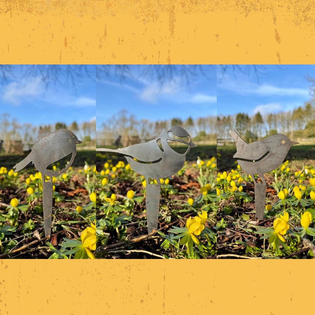 Steel Bird Pot Spikes. 3 Designs. Bulb Markers . Robin . Bluetit . Wren . Garden Decor . Rusty Metal Birds