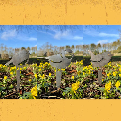 Steel Bird Pot Spikes. 3 Designs. Bulb Markers . Robin . Bluetit . Wren . Garden Decor . Rusty Metal Birds