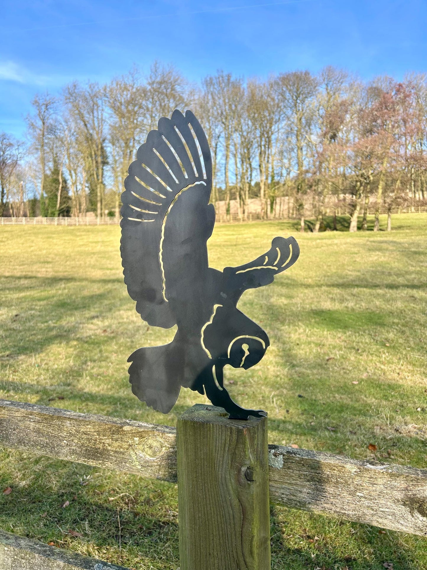 Otis The Owl - Fence Topper - Garden Ornament  Rusty Art  Metal Bird