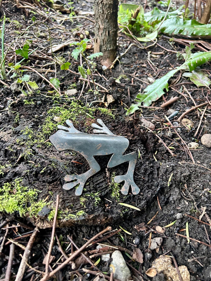 Rex The Frog - Steel Garden Ornament . Home Decor . Rusty Art . Metal Wildlife