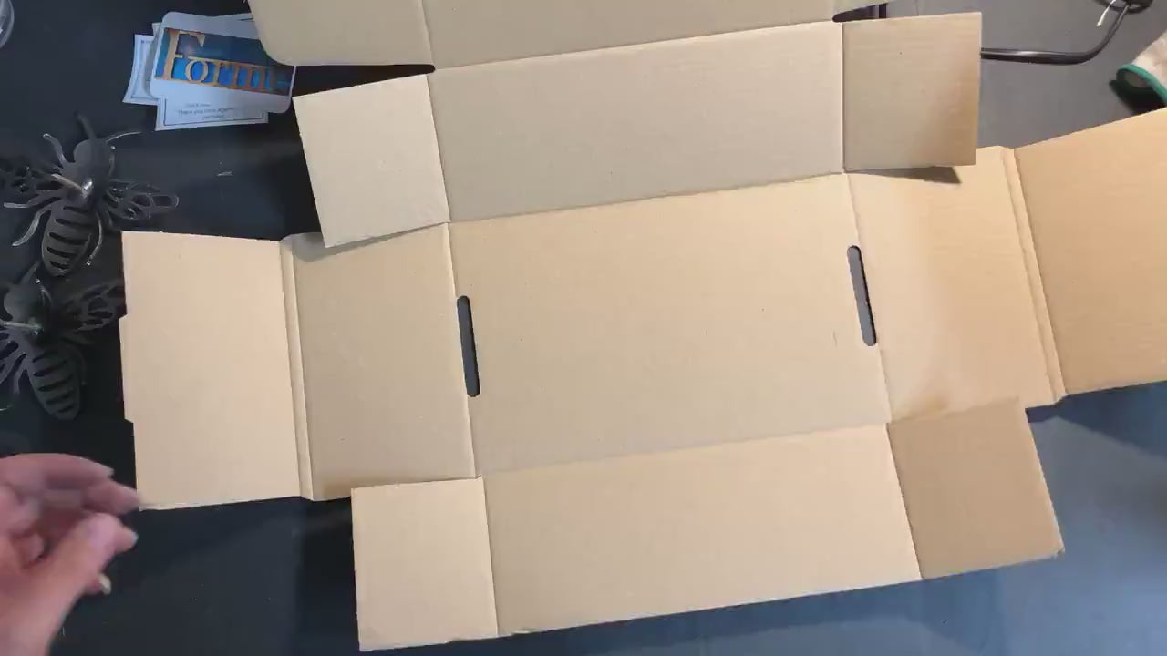 Video